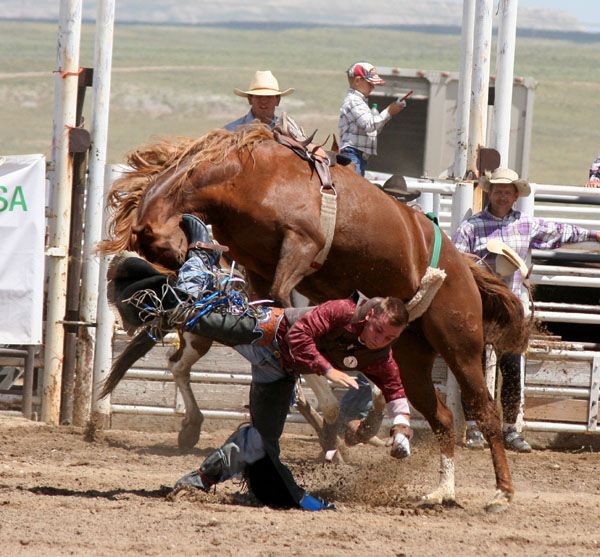 Bareback Rider. Photo by Pinedale Online.