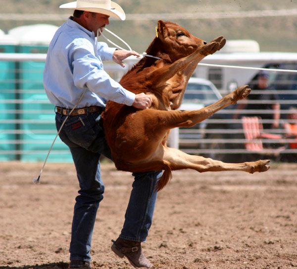 Calf Roping. Photo by Pinedale Online.