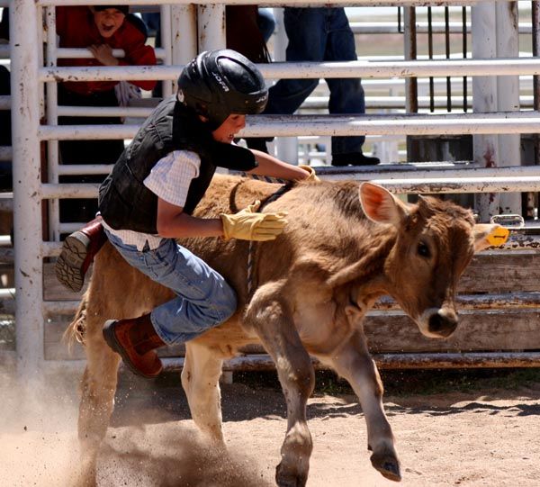 Calf Riding. Photo by Pinedale Online.