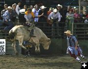 Bull Riding. Photo by Pinedale Online.