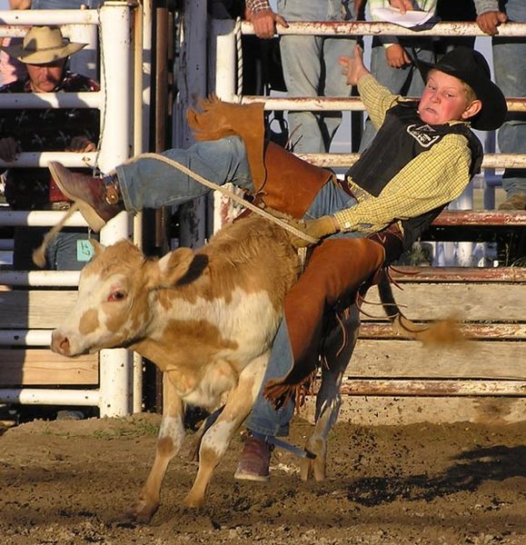 Casey Manning calf ride. Photo by Dawn Ballou, Pinedale Online.