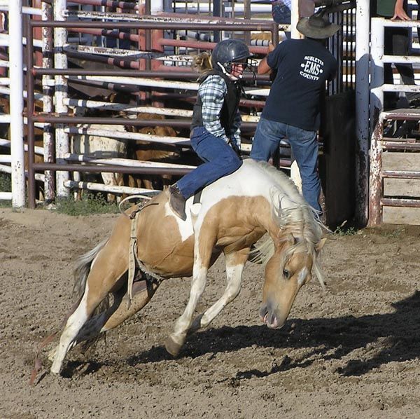 Jenny bronc ride. Photo by Dawn Ballou, Pinedale Online.