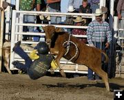 Jake McAdams calf ride toss. Photo by Dawn Ballou, Pinedale Online.