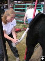 Getting ready for judging. Photo by Pinedale Online.