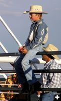 Watching from the fence. Photo by Dawn Ballou, Pinedale Online.