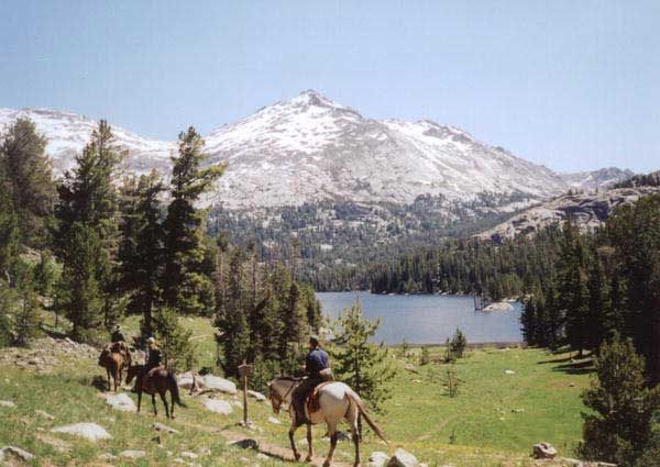 Horseback Adventure Trip. Photo by Big Sandy Lodge.