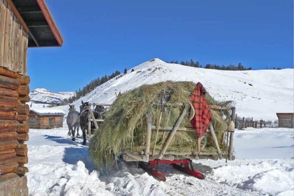 Hay Wagon. Photo by Barbara Ellwood.