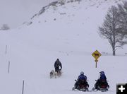 Sharing the trail. Photo by Dawn Ballou, Pinedale Online.