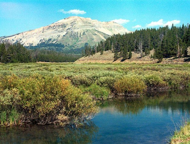 Prime moose habitat. Photo by Triple Peak Lodge.