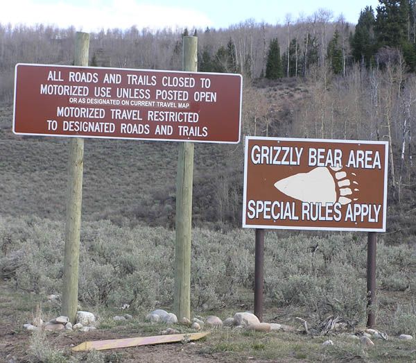 Stay on designated roads. Photo by Dawn Ballou, Pinedale Online.