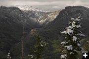 Pine Creek Canyon late May. Photo by Dave Bell.