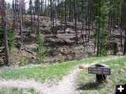 Trails open. Photo by Dawn Ballou, Pinedale Online.