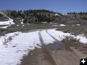 Into Whiskey Grove. Photo by Dawn Ballou, Pinedale Online.