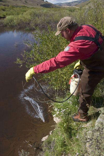 Rotenone treatment. Photo by Wyoming Game & Fish.