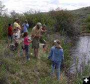 Tacy brings in a fish. Photo by Dawn Ballou, Pinedale Online.