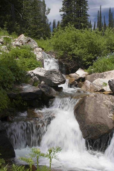 Bear Creek waterfall. Photo by Dave Bell.