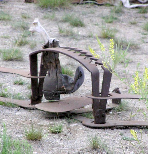 Big Trap!. Photo by Dawn Ballou, Pinedale Online.