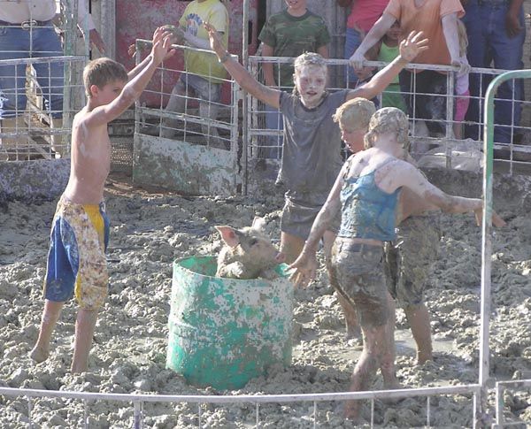 Pig Fighters. Photo by Dawn Ballou, Pinedale Online!.