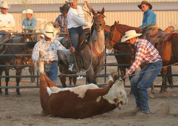 Roll Over. Photo by Clint Gilchrist, Pinedale Online.