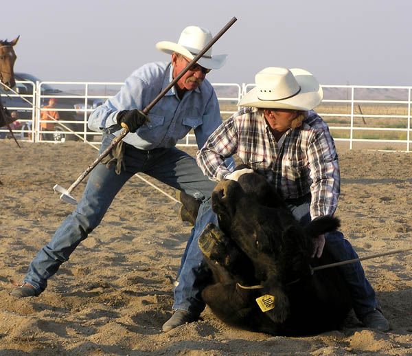 Getting ready to brand. Photo by Dawn Ballou, Pinedale Online.