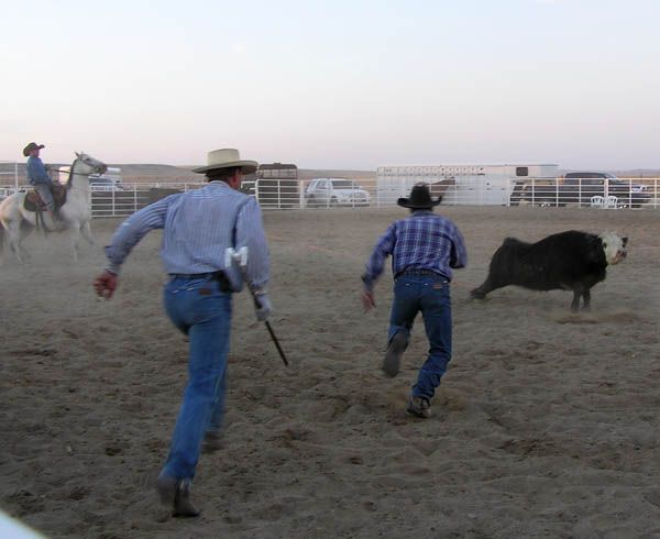 Running with the iron. Photo by Dawn Ballou, Pinedale Online.