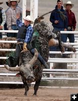 Bull Riding. Photo by Clint Gilchrist, Pinedale Online.