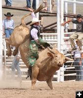 Bull Riding. Photo by Clint Gilchrist, Pinedale Online.