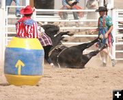 Bull fell on Smith. Photo by Clint Gilchrist, Pinedale Online.