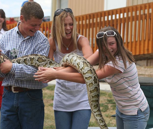 Reluctant Help. Photo by Clint Gilchrist, Pinedale Online.