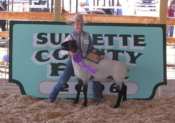 Junior Showmanship Sheep. Photo by Dawn Ballou, Pinedale Online.