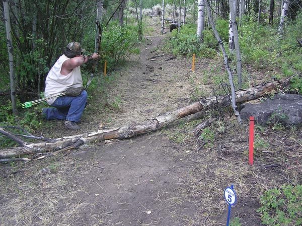 Challenging shot. Photo by Dawn Ballou, Pinedale Online.