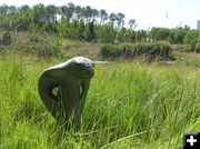 Cobra target. Photo by Dawn Ballou, Pinedale Online.