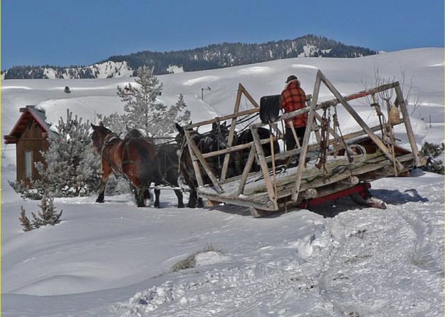 Winter in Wyoming. Photo by Barbara Ellwood.