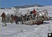 Winter in Wyoming. Photo by Barbara Ellwood.