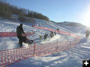 Up the 12-dog hill. Photo by Dawn Ballou, Pinedale Online.