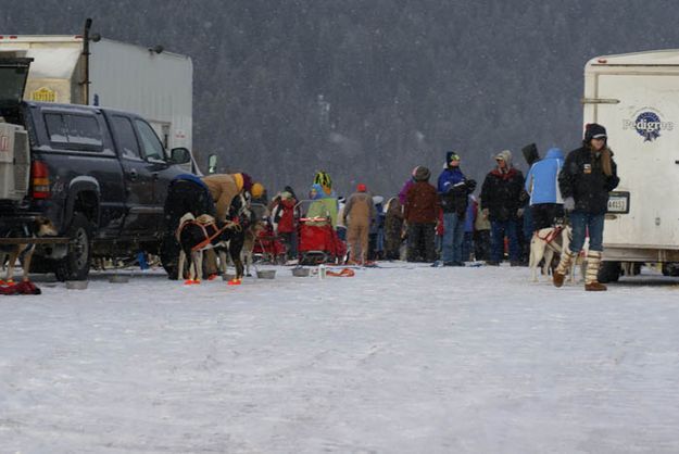 Big Piney Start. Photo by Cat Urbigkit, Pinedale Online.