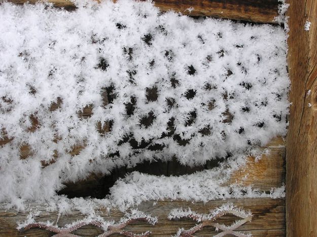 Hoar Frost on Wire Fencing. Photo by Dawn Ballou, Pinedale Online.