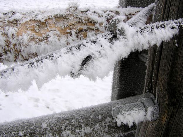 Hoar frost on wood fence. Photo by Dawn Ballou, Pinedale Online.