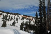 Horse Creek drainage. Photo by Arnold Brokling.