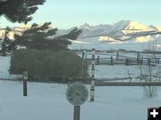 Hay wagon ready to go. Photo by Bondurant Webcam.