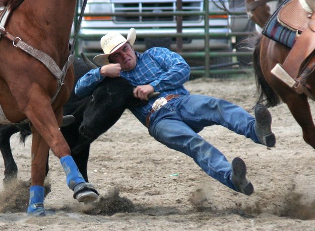 Steer Wrestling. Photo by Clint Gilchrist, Pinedale Online.