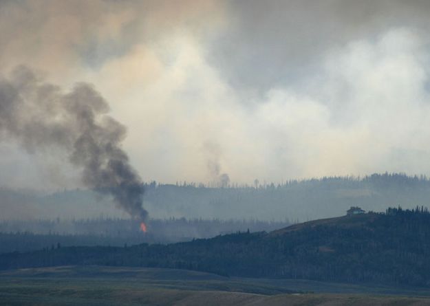 Close to home. Photo by Dawn Ballou, Pinedale Online.