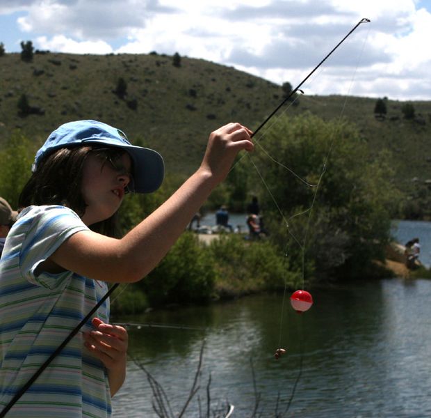 Tangled Line. Photo by Pam McCulloch, Pinedale Online.