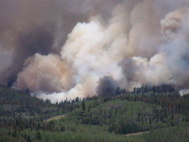 Thick Smoke. Photo by Allene Dana.