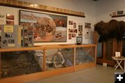 Wardell Buffalo Trap display. Photo by Dawn Ballou, Pinedale Online.