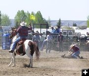 Calf Roping. Photo by Dawn Ballou, Pinedale Online.