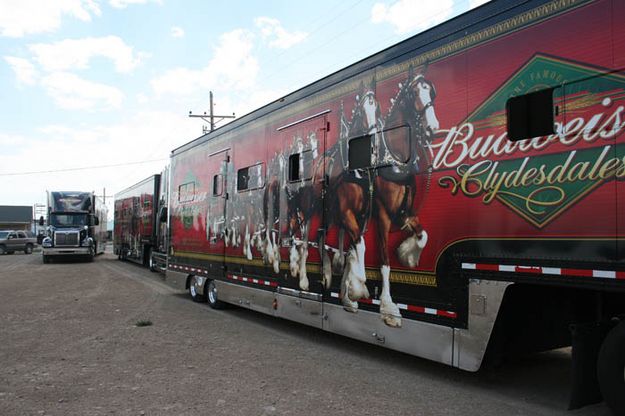 3 Clydesdale Semis. Photo by Dawn Ballou, Pinedale Online.