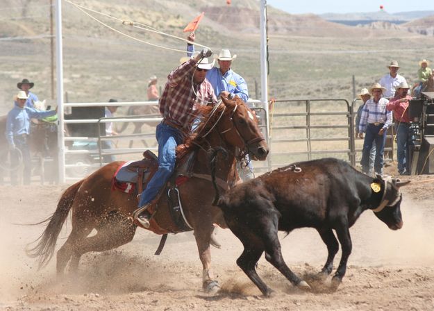 Team Roping. Photo by Clint Gilchrist, Pinedale Online.