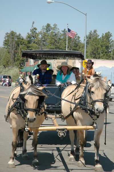 Carriage. Photo by Janet Montgomery.