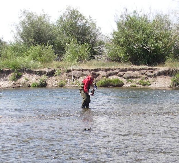 Clean Up. Photo by Wyoming Game & Fish.